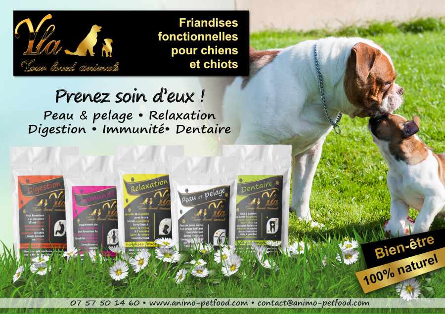 friandises naturelles sans céréales pour chien